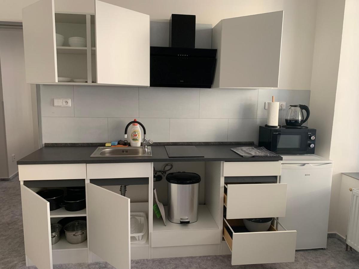 Apartmany Zizkova Česká Lípa エクステリア 写真